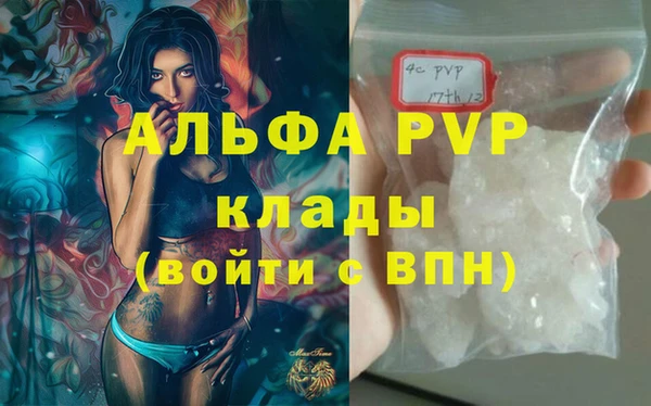 spice Богданович